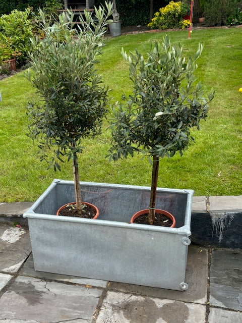 Galvanised Troughs