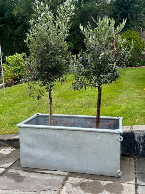 Galvanised Troughs