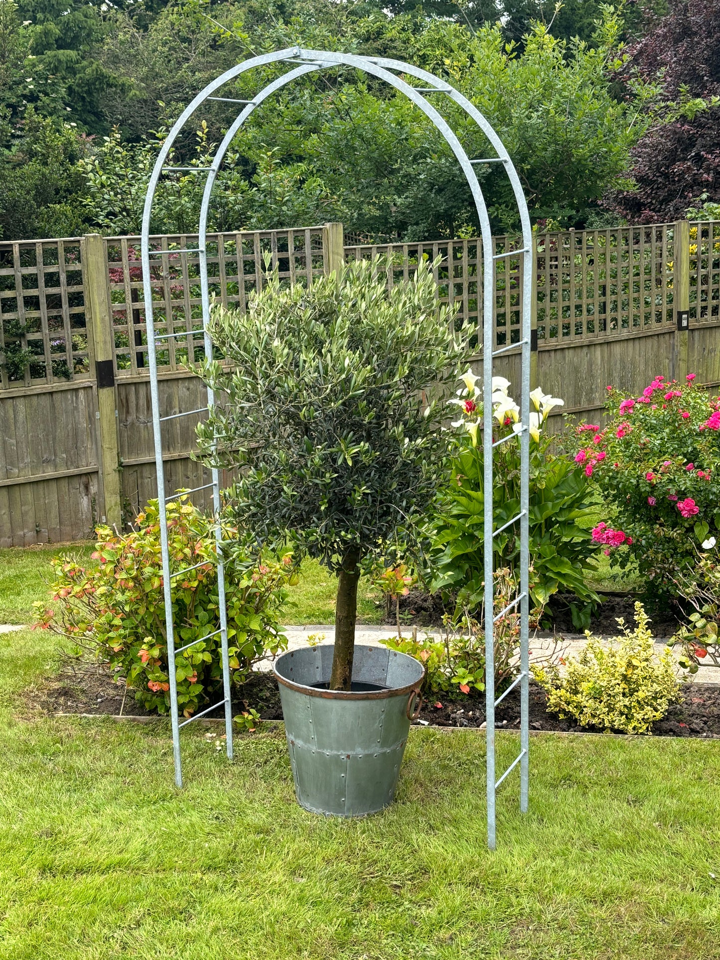 Galvanised Round Rose Arch